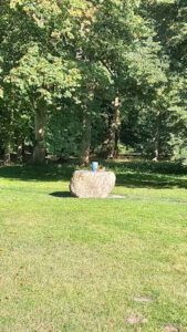 Urne der Pastorin im Friedwald, am Treffpunkt.