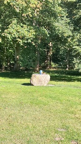Urne der Pastorin im Friedwald, am Treffpunkt.